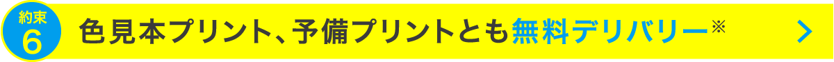 色見本プリント、予備プリントとも無料デリバリー※
