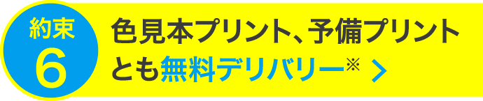 色見本プリント、予備プリントとも無料デリバリー※